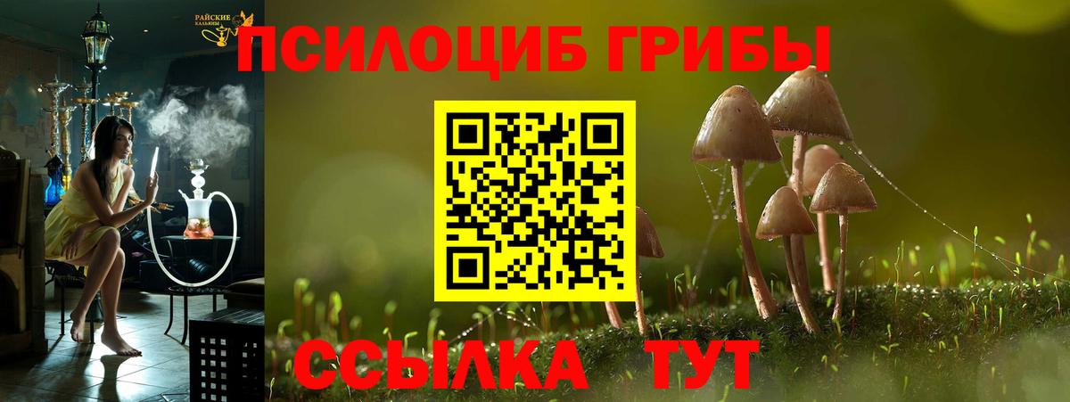 Воронеж  Псилоцибиновые грибы ЛСД  Вход с VPN 