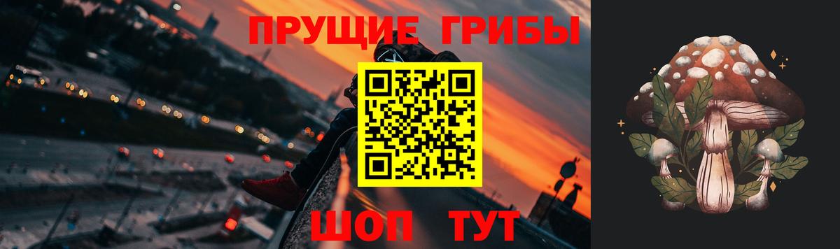 Галлюциногенные грибы Cubensis Воронеж